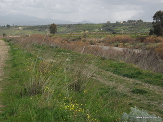 lle del Simeto-24-02-2013 11-53-11